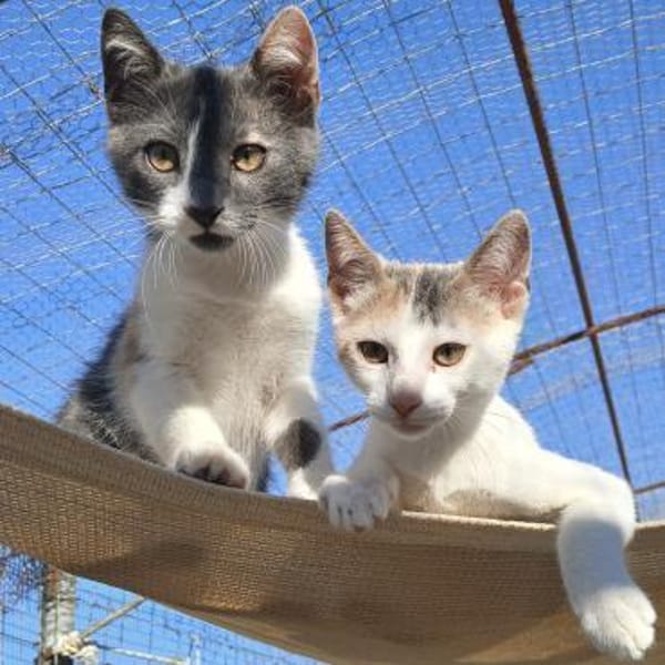 Hübsche Lydia raubt dir den Atem!