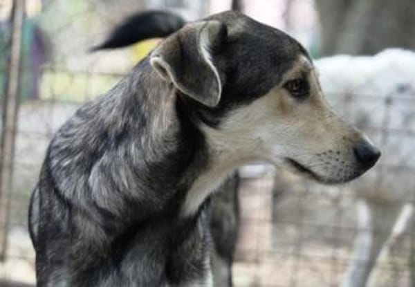 Der liebe Grisu verzauberte uns sofort!