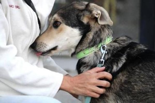 Der liebe Grisu verzauberte uns sofort!