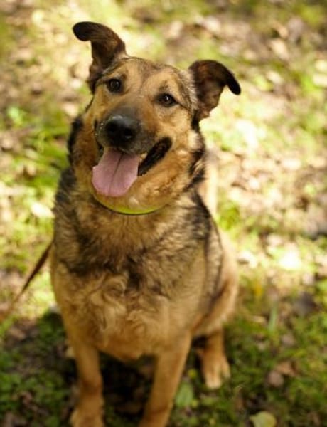 Yasha❤in 83543 Rott am Inn