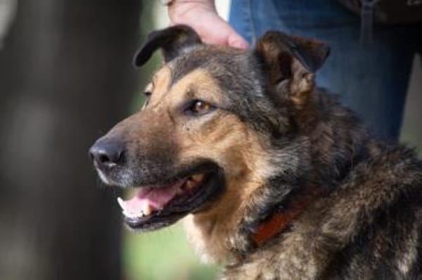 Yasha❤in 83543 Rott am Inn