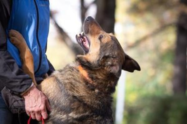 Yasha❤in 83543 Rott am Inn