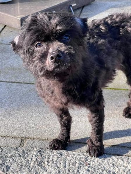 Leonie wäre gerne Prinzessin