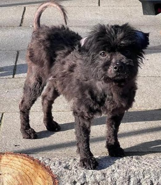 Leonie wäre gerne Prinzessin