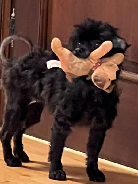 Leonie wäre gerne Prinzessin