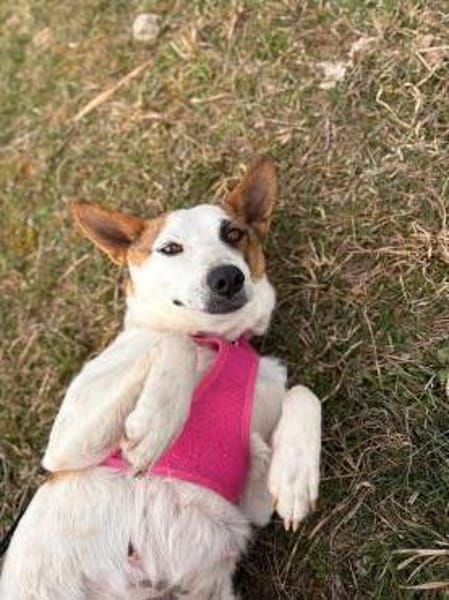 Julieta sucht erfahrene, liebe Menschen