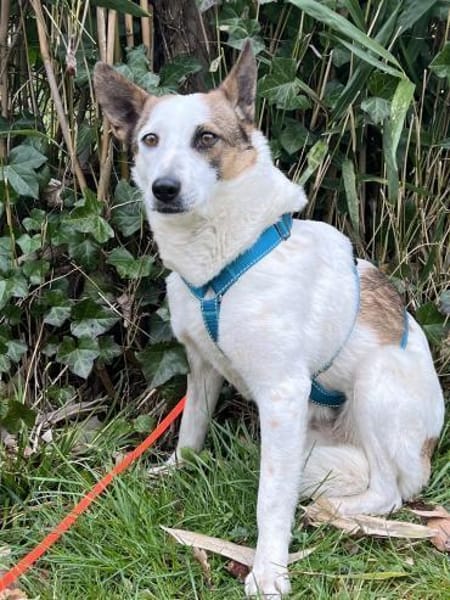 Julieta sucht erfahrene, liebe Menschen