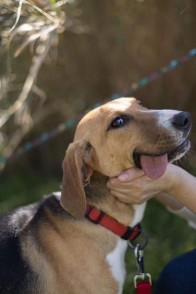 Die schöne Molly sucht DICH!