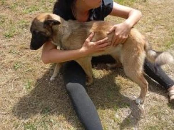 Filicitas 52 cm (Pflegestelle)