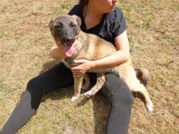 Filicitas 52 cm (Pflegestelle)