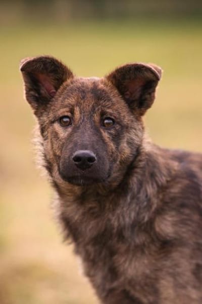 Mila wartet auf ihre Familie