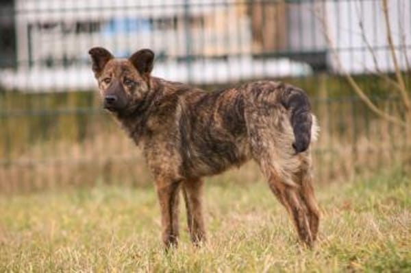 Mila wartet auf ihre Familie
