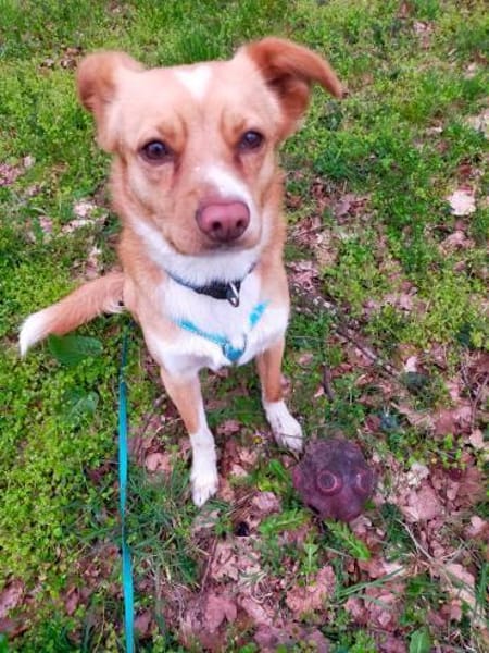 Prince sucht seine Prinzessin