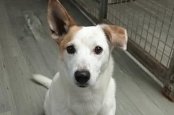 PATTY&BOGA - Gemeinsam durch Leben!