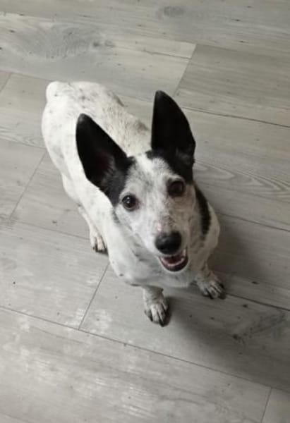 PATTY&BOGA - Gemeinsam durch Leben!