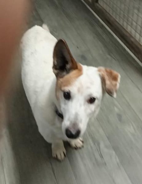 PATTY&BOGA - Gemeinsam durch Leben!