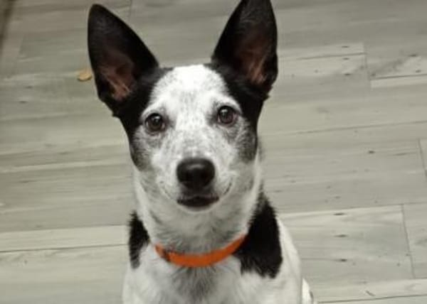 PATTY&BOGA - Gemeinsam durch Leben!