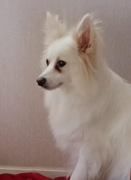 Dave wünscht sich eine Familie