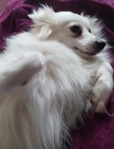 Dave wünscht sich eine Familie