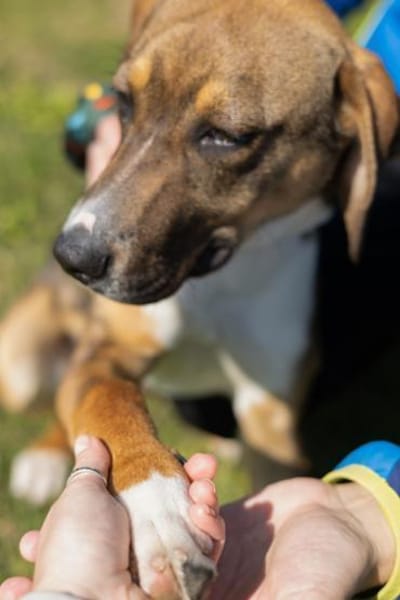 Der schöne Bruno sucht DICH!