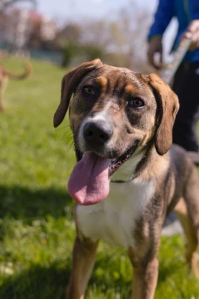 Der schöne Bruno sucht DICH!