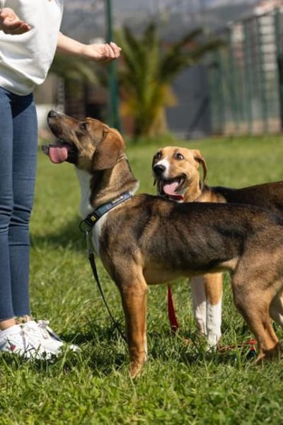 Der schöne Bruno sucht DICH!