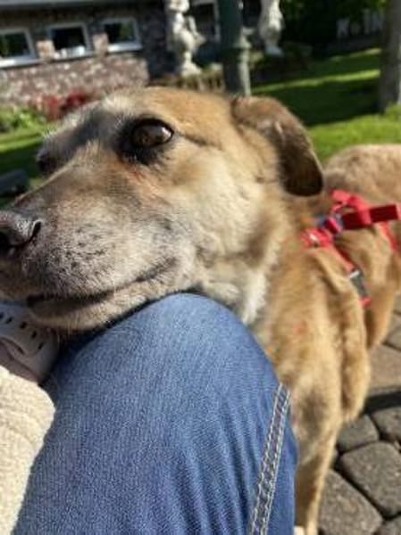 Ich bin der Bobby ❤