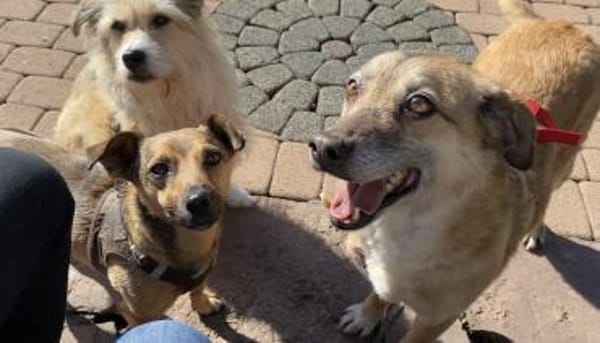 Ich bin der Bobby ❤