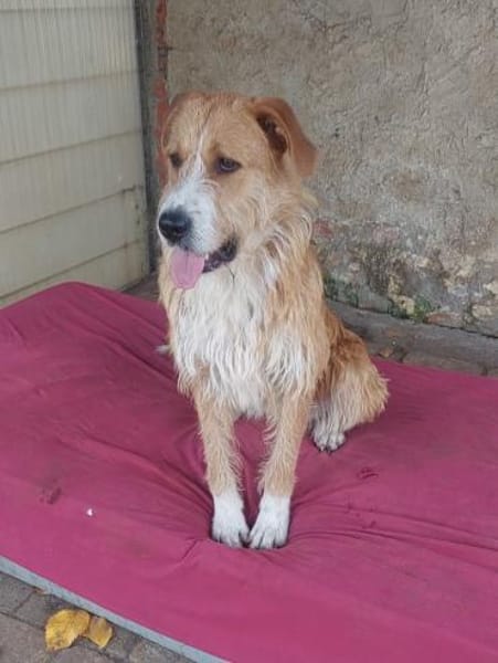 Großes Mädchen sucht großes Glück