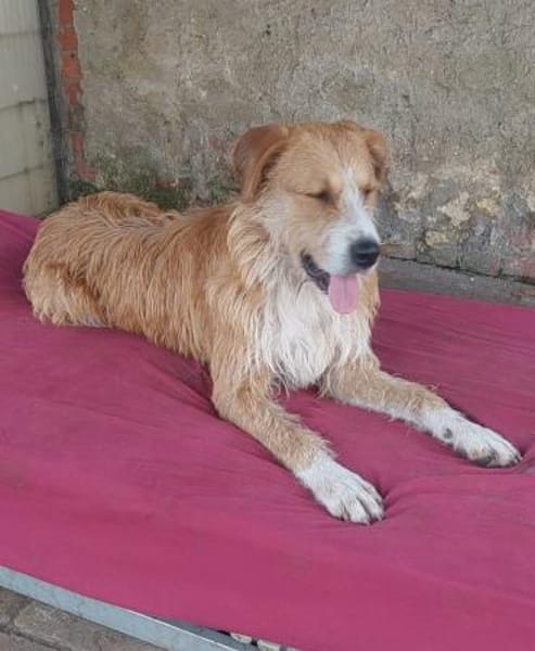 Großes Mädchen sucht großes Glück