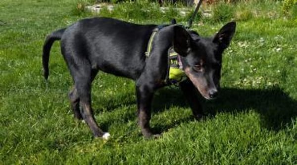 Süße MIMI möchte dein Herz erobern