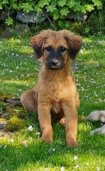 kleiner, lustiger Ulli 🥰