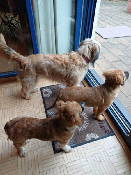 kleiner, lustiger Ulli 🥰