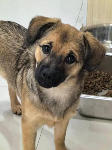 Holly braucht herzliche Menschen