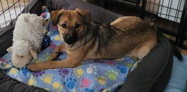 Holly braucht herzliche Menschen