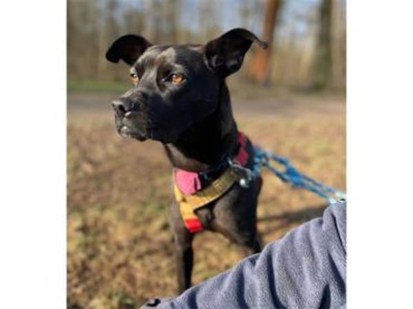 Nura - wartet in 04103 Leipzig