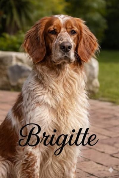 Brigitte 💚 bindungsstark und lieb