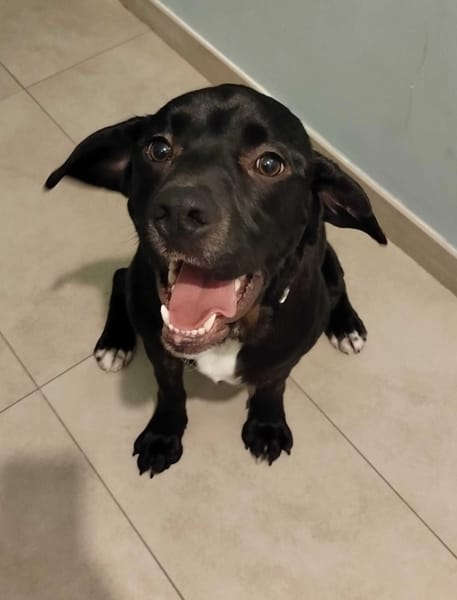 Atom