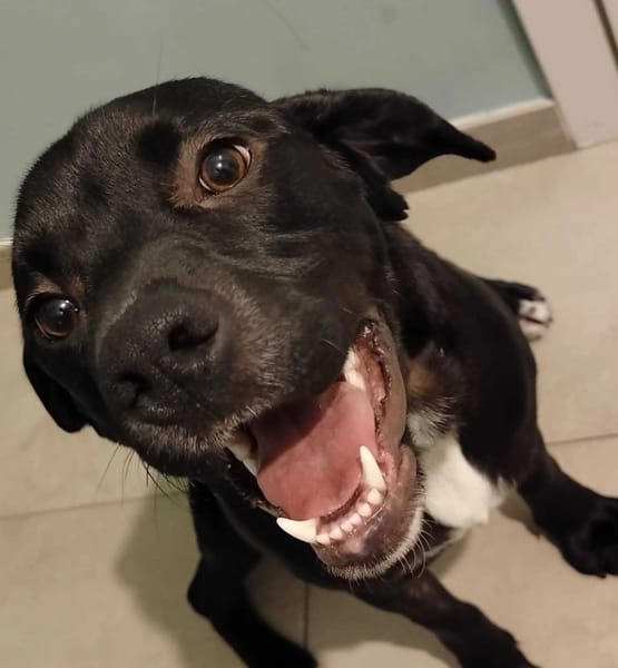 Atom