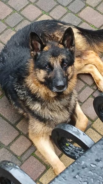 Kairo