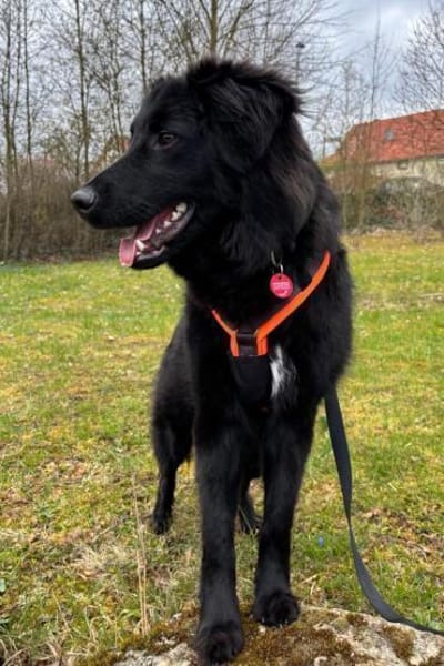 JUNAKwartet bereits in 37130 Gleichen