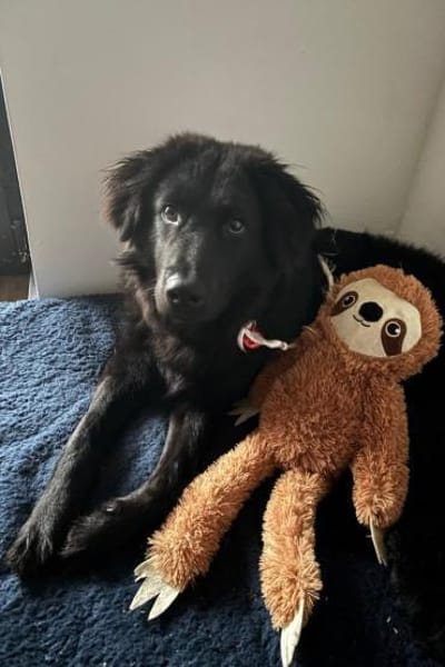 JUNAKwartet bereits in 37130 Gleichen