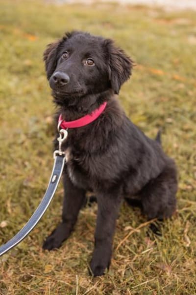 JUNAKwartet bereits in 37130 Gleichen