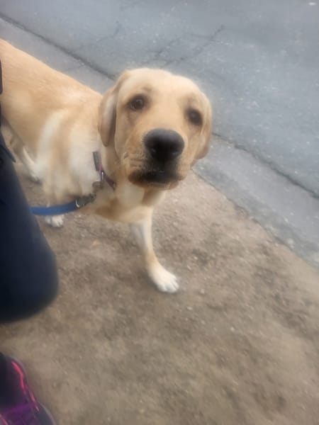 Kalle-tolle Knalltüte sucht Zuhause