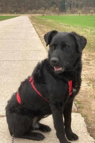 bezaubernde ASYA💖wartet in 36179 Bebra