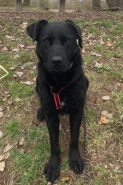 bezaubernde ASYA💖wartet in 36179 Bebra