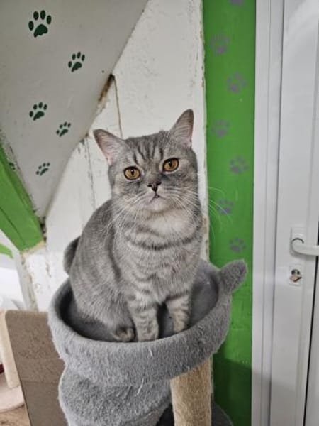 LITSCHI - Lebensfreude pur sucht Familie