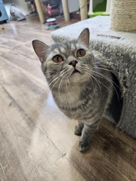 LITSCHI - Lebensfreude pur sucht Familie