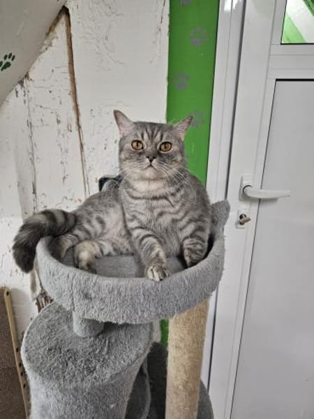 LITSCHI - Lebensfreude pur sucht Familie