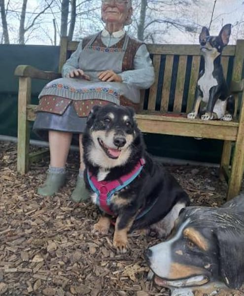 MORIS sucht dringend ein neues zuhause